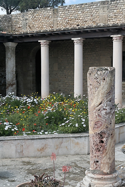 Tunis, Carthage-121